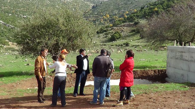 &Nu;έ&alpha; &alpha;&rho;&delta;&epsilon;&upsilon;&tau;&iota;&kappa;ά &kappa;&alpha;&nu;ά&lambda;&iota;&alpha; &sigma;&tau;&alpha; &chi;&omega;&rho;&iota;ά &Pi;&rho;ά&sigma;&iota;&nu;&omicron; &kappa;&alpha;&iota; &Rho;&iota;&zeta;&omicron;&sigma;&pi;&eta;&lambda;&iota;ά &Gamma;&omicron;&rho;&tau;&upsilon;&nu;ί&alpha;&sigmaf; (vd)