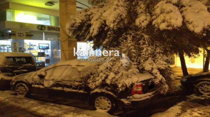 &Delta;έ&nu;&delta;&rho;&omicron; έ&pi;&epsilon;&sigma;&epsilon; &pi;ά&nu;&omega; &sigma;&epsilon; &alpha;&upsilon;&tau;&omicron;&kappa;ί&nu;&eta;&tau;&omicron; &sigma;&tau;&eta;&nu; &Tau;&rho;ί&pi;&omicron;&lambda;&eta;! (&epsilon;&iota;&kappa;ό&nu;&epsilon;&sigmaf;)