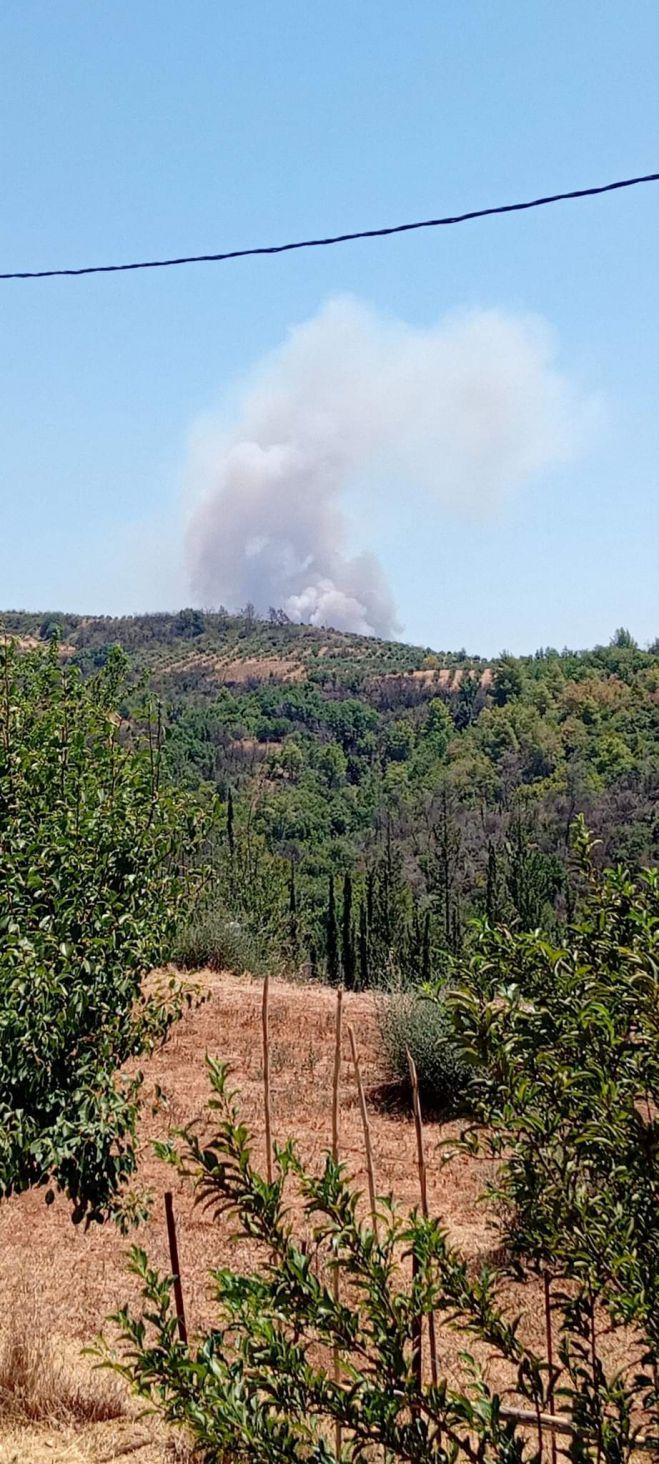 &Pi;&upsilon;&rho;&kappa;&alpha;&gamma;&iota;ά &sigma;&tau;&alpha; &Kappa;&alpha;&kappa;&omicron;&upsilon;&rho;&alpha;ί&iota;&kappa;&alpha;