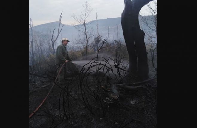 Έσβησε η φωτιά σε Βελιγοστή - Ελληνίτσα (εικόνες)