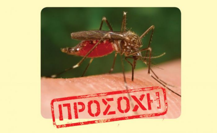 Ιός Δυτικού Νείλου | Σε καμία περιοχή της Αρκαδίας δεν έχουν εντοπιστεί μολυσμένα κουνούπια