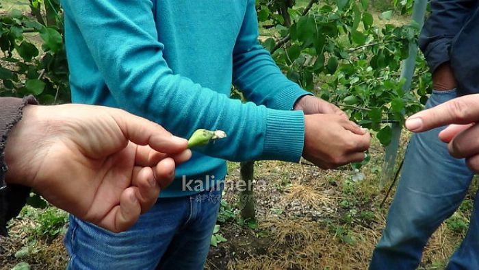 &Alpha;&nu;&upsilon;&pi;&omicron;&lambda;ό&gamma;&iota;&sigma;&tau;&epsilon;&sigmaf; &kappa;&alpha;&tau;&alpha;&sigma;&tau;&rho;&omicron;&phi;έ&sigmaf; ά&phi;&eta;&sigma;&epsilon; &pi;ί&sigma;&omega; &tau;&omicron; &chi;&alpha;&lambda;ά&zeta;&iota; &sigma;&epsilon; &chi;&omega;&rho;&iota;ά &tau;&eta;&sigmaf; &Alpha;&rho;&kappa;&alpha;&delta;ί&alpha;&sigmaf; (vd)