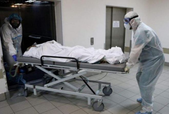 &Kappa;&omicron;&rho;&omega;&nu;&omicron;ϊό&sigmaf; | &Nu;έ&omicron; &alpha;&rho;&nu;&eta;&tau;&iota;&kappa;ό &rho;&epsilon;&kappa;ό&rho; &kappa;&rho;&omicron;&upsilon;&sigma;&mu;ά&tau;&omega;&nu; &sigma;ή&mu;&epsilon;&rho;&alpha; - &Pi;&iota;&theta;&alpha;&nu;ό&nu; &pi;ά&nu;&omega; &alpha;&pi;ό 1.000