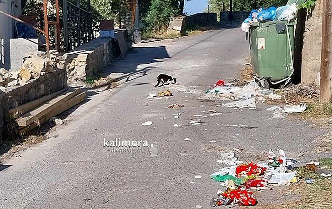 Αλέξιος Θωμάς για Μοναστηράκι Γορτυνίας: &quot;Σκουπίδια στο δρόμο, γάτες τρώνε τα αποφάγια&quot; (vd)