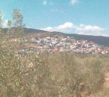 &Nu;έ&omicron;&sigmaf; &Pi;&rho;ό&epsilon;&delta;&rho;&omicron;&sigmaf; &sigma;&tau;&eta;&nu; &tau;&omicron;&pi;&iota;&kappa;ή &Kappa;&omicron;&iota;&nu;ό&tau;&eta;&tau;&alpha; &Kappa;&omicron;&rho;&alpha;&kappa;&omicron;&beta;&omicron;&upsilon;&nu;ί&omicron;&upsilon;