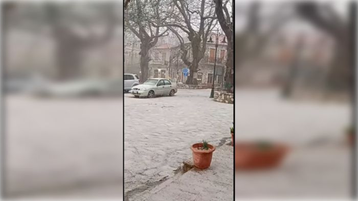 Ό&lambda;&alpha; &lambda;&epsilon;&upsilon;&kappa;ά &sigma;&tau;&omicron;&nu; &Kappa;&omicron;&sigma;&mu;ά &Alpha;&rho;&kappa;&alpha;&delta;ί&alpha;&sigmaf; (vd)