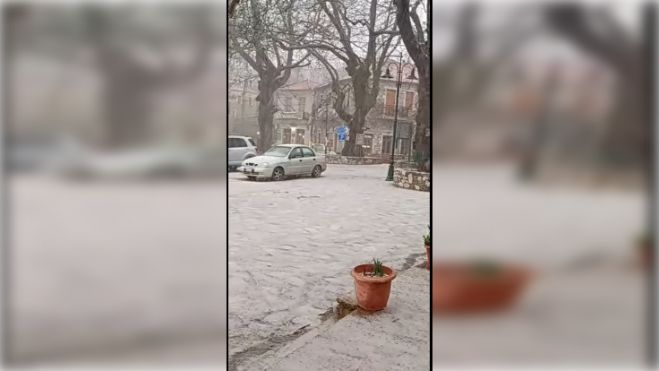 Ό&lambda;&alpha; &lambda;&epsilon;&upsilon;&kappa;ά &sigma;&tau;&omicron;&nu; &Kappa;&omicron;&sigma;&mu;ά &Alpha;&rho;&kappa;&alpha;&delta;ί&alpha;&sigmaf; (vd)