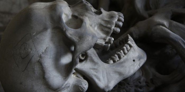 Αρχαίο δείγμα Homo Sapiens - Κρανίο 210.000 ετών βρέθηκε στην Πελοπόννησο