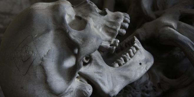 Αρχαίο δείγμα Homo Sapiens - Κρανίο 210.000 ετών βρέθηκε στην Πελοπόννησο