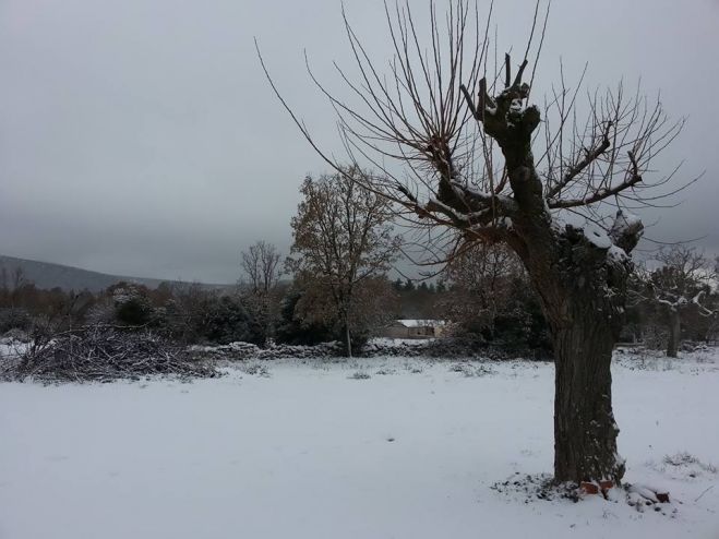 Τα χιονισμένα Πελετά Κυνουρίας (εικόνες)