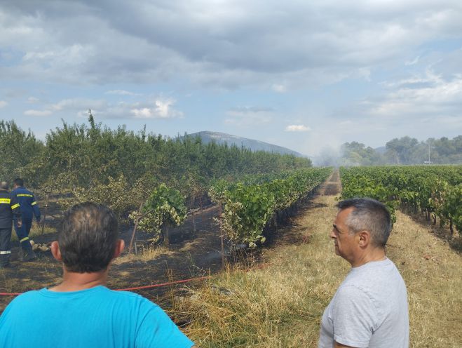 Στην πρώτη γραμμή κατάσβεσης της φωτιάς στη Γαρέα ο Δήμαρχος Τρίπολης! (εικόνες)