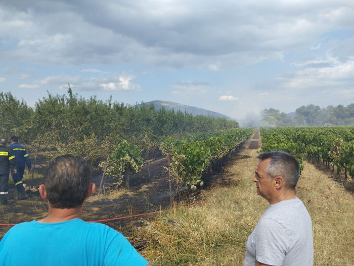 Στην πρώτη γραμμή κατάσβεσης της φωτιάς στη Γαρέα ο Δήμαρχος Τρίπολης! (εικόνες)