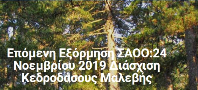 &Sigma;&tau;&omicron;&nu; &mu;&alpha;&gamma;&epsilon;&upsilon;&tau;&iota;&kappa;ό &Pi;ά&rho;&nu;&omega;&nu;&alpha; &omicron; &Sigma;&Alpha;&Omicron;&Omicron;!
