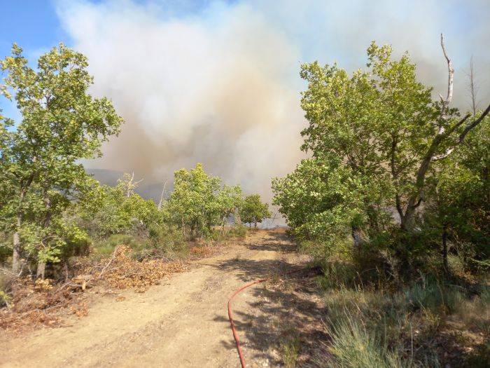 &Pi;&upsilon;&rho;&kappa;&alpha;&gamma;&iota;ά &sigma;&tau;&omicron; &Lambda;&epsilon;&omicron;&nu;&tau;ά&rho;&iota; | &Tau;&rho;&alpha;&upsilon;&mu;&alpha;&tau;ί&sigma;&tau;&eta;&kappa;&epsilon; &omicron; &Alpha;&nu;&tau;&iota;&delta;ή&mu;&alpha;&rho;&chi;&omicron;&sigmaf; &Sigma;&iota;έ&mu;&pi;&omicron;&sigmaf; &kappa;&alpha;&iota; &mu;&epsilon;&tau;&alpha;&phi;έ&rho;&theta;&eta;&kappa;&epsilon; &sigma;&tau;&omicron; &Pi;&alpha;&nu;&alpha;&rho;&kappa;&alpha;&delta;&iota;&kappa;ό &Nu;&omicron;&sigma;&omicron;&kappa;&omicron;&mu;&epsilon;ί&omicron;