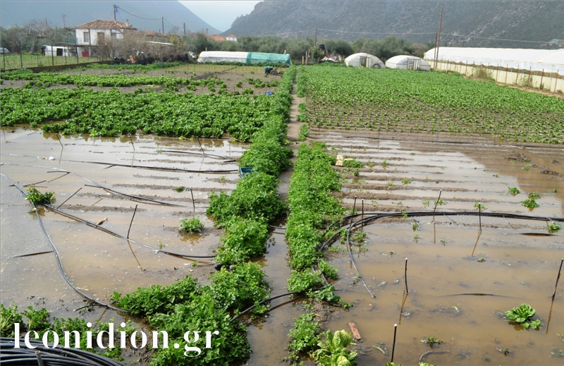 &Nu;έ&epsilon;&sigmaf; &zeta;&eta;&mu;&iota;έ&sigmaf; &sigma;&epsilon; &kappa;&alpha;&lambda;&lambda;&iota;έ&rho;&gamma;&epsilon;&iota;&epsilon;&sigmaf; &sigma;&tau;&omicron;&nu; &Lambda;ά&kappa;&kappa;&omicron; &Lambda;&epsilon;&omega;&nu;&iota;&delta;ί&omicron;&upsilon;! (vd)