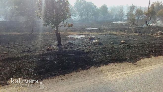 &Phi;&alpha;&lambda;&alpha;&iota;&sigma;ί&alpha; | &Delta;&upsilon;&nu;ά&mu;&epsilon;&iota;&sigmaf; &tau;&eta;&sigmaf; &Pi;&upsilon;&rho;&omicron;&sigma;&beta;&epsilon;&sigma;&tau;&iota;&kappa;ή&sigmaf; &pi;&alpha;&rho;&alpha;&mu;έ&nu;&omicron;&upsilon;&nu; &sigma;&tau;&omicron; &mu;έ&tau;&omega;&pi;&omicron; &tau;&eta;&sigmaf; &phi;&omega;&tau;&iota;ά&sigmaf;