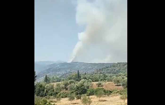 Γορτυνία | Αναζωπύρωση στην Κάπελη - Μεγάλη φωτιά - Χρειάζονται εναέρια μέσα