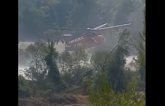 Ελικόπτερα συνεχίζουν τις ρίψεις νερού στο μέτωπο της Γορτυνίας (vd)