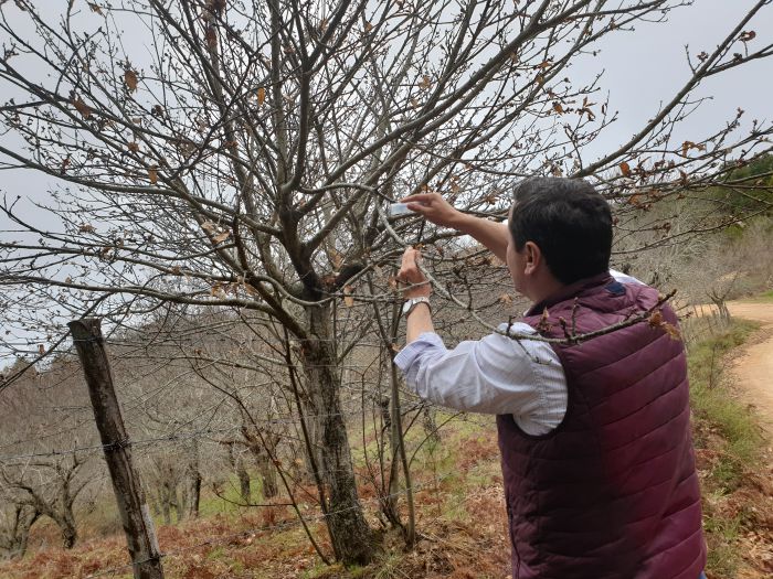 &Sigma;&upsilon;&nu;&epsilon;&chi;ί&zeta;&epsilon;&tau;&alpha;&iota; &gamma;&iota;&alpha; &delta;&epsilon;ύ&tau;&epsilon;&rho;&eta; &chi;&rho;&omicron;&nu;&iota;ά &eta; &beta;&iota;&omicron;&lambda;&omicron;&gamma;&iota;&kappa;ή &alpha;&nu;&tau;&iota;&mu;&epsilon;&tau;ώ&pi;&iota;&sigma;&eta; &tau;&eta;&sigmaf; &Sigma;&phi;ή&kappa;&alpha;&sigmaf; &tau;&eta;&sigmaf; &kappa;&alpha;&sigma;&tau;&alpha;&nu;&iota;ά&sigmaf;