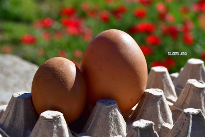 &Alpha;&upsilon;&gamma;ό &gamma;&iota;&alpha; ... &rho;&epsilon;&kappa;ό&rho; &Gamma;&kappa;ί&nu;&epsilon;&sigmaf; &sigma;&tau;&omicron; &Nu;&alpha;ύ&pi;&lambda;&iota;&omicron; (vd)
