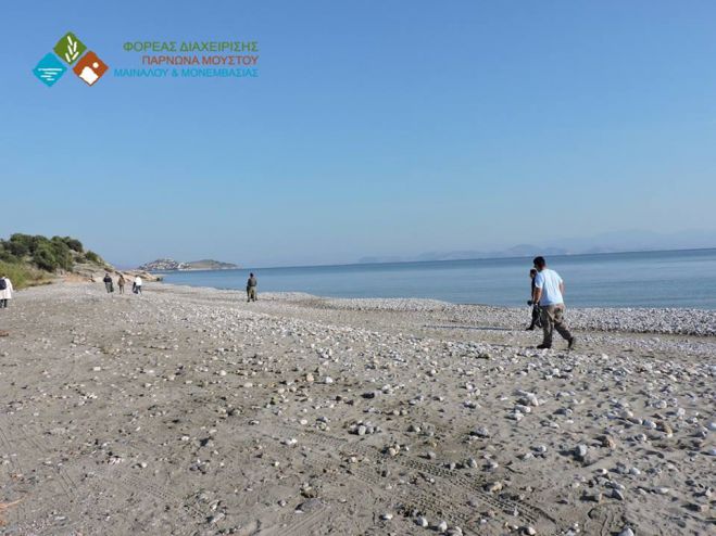 Εθελοντές καθάρισαν παραλίες στη Βόρεια Κυνουρία (εικόνες)