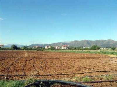 Έκταση για το λαχανόκηπο ψάχνει ο Δήμος Τρίπολης