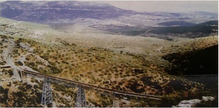 Ελαιοχώριο .. Ένας τόπος γεμάτος ελιές στην Αρκαδία!