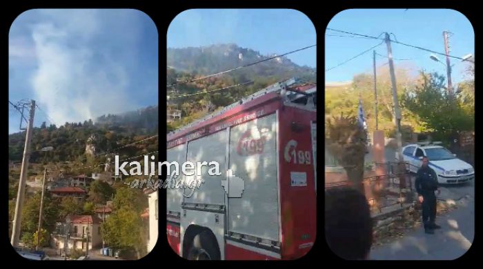 Δείτε βίντεο από τη φωτιά ξέσπασε στο Χρυσοβίτσι (vd)