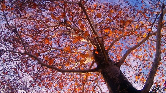 &Theta;&epsilon;&rho;&mu;ή &laquo;&epsilon;&iota;&sigma;&beta;&omicron;&lambda;ή&raquo; &sigma;&tau;&eta;&nu; &Epsilon;&upsilon;&rho;ώ&pi;&eta; - &Theta;&alpha; &xi;&epsilon;&pi;&epsilon;&rho;ά&sigma;&epsilon;&iota; &tau;&omicron;&upsilon;&sigmaf; 20 &beta;&alpha;&theta;&mu;&omicron;ύ&sigmaf; &eta; &theta;&epsilon;&rho;&mu;&omicron;&kappa;&rho;&alpha;&sigma;ί&alpha; &sigma;&tau;&eta;&nu; &Epsilon;&lambda;&lambda;ά&delta;&alpha;