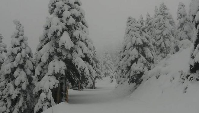 &Chi;&iota;&omicron;&nu;&omicron;&delta;&rho;&omicron;&mu;&iota;&kappa;ό &Mu;&alpha;&iota;&nu;ά&lambda;&omicron;&upsilon; | &Pi;ά&nu;&omega; &alpha;&pi;ό 30 cm &omicron;&lambda;ό&phi;&rho;&epsilon;&sigma;&kappa;&omicron; &alpha;&phi;&rho;ά&tau;&omicron; &chi;&iota;&omicron;&nu;ά&kappa;&iota; - &Alpha;&nu;&omicron;ί&gamma;&omicron;&upsilon;&nu; ό&lambda;&omicron;&iota; &omicron;&iota; &alpha;&nu;&alpha;&beta;&alpha;&tau;ή&rho;&epsilon;&sigmaf;!