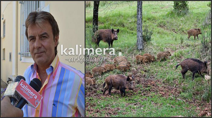 &Nu;έ&alpha; &rho;&upsilon;&theta;&mu;&iota;&sigma;&tau;&iota;&kappa;ή &gamma;&iota;&alpha; &tau;&omicron; &kappa;&upsilon;&nu;ή&gamma;&iota; &ndash; &Alpha;&pi;ό&phi;&alpha;&sigma;&eta; &laquo;&alpha;&nu;ά&sigma;&alpha;&raquo; &gamma;&iota;&alpha; &tau;&omicron; &pi;&rho;ό&beta;&lambda;&eta;&mu;&alpha; &mu;&epsilon; &tau;&omicron;&upsilon;&sigmaf; &alpha;&gamma;&rho;&iota;ό&chi;&omicron;&iota;&rho;&omicron;&upsilon;&sigmaf; &sigma;&tau;&eta;&nu; &Alpha;&rho;&kappa;&alpha;&delta;ί&alpha; (vd)