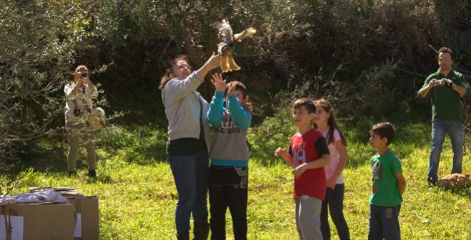 Μαθητές απελευθέρωσαν γερακίνες στο Λεωνίδιο (vd)!