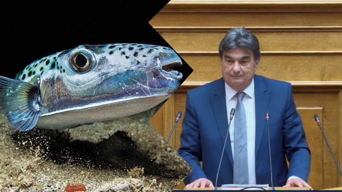 &Lambda;&alpha;&gamma;&omicron;&kappa;έ&phi;&alpha;&lambda;&omicron;&iota; &sigma;&tau;&omicron; &Mu;&upsilon;&rho;&tau;ώ&omicron; &Pi;έ&lambda;&alpha;&gamma;&omicron;&sigmaf; - &Zeta;&eta;&mu;&iota;ά &gamma;&iota;&alpha; &tau;&omicron;&upsilon;&sigmaf; &alpha;&lambda;&iota;&epsilon;ί&sigmaf; &sigma;&tau;&eta;&nu; &Alpha;&rho;&kappa;&alpha;&delta;ί&alpha; - &Epsilon;&rho;ώ&tau;&eta;&sigma;&eta; &Gamma;&iota;&alpha;&nu;&nu;&alpha;&kappa;&omicron;ύ&rho;&alpha; &sigma;&tau;&eta; &Beta;&omicron;&upsilon;&lambda;ή