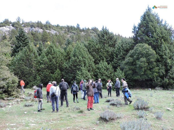 &Eta; &Epsilon;&lambda;&lambda;&eta;&nu;&iota;&kappa;ή &Omicron;&rho;&nu;&iota;&theta;&omicron;&lambda;&omicron;&gamma;&iota;&kappa;ή &Epsilon;&tau;&alpha;&iota;&rho;&epsilon;ί&alpha; &epsilon;&xi;ό&rho;&mu;&eta;&sigma;&epsilon; &sigma;&tau;&omicron;&nu; &Pi;ά&rho;&nu;&omega;&nu;&alpha;! (&epsilon;&iota;&kappa;ό&nu;&epsilon;&sigmaf;)