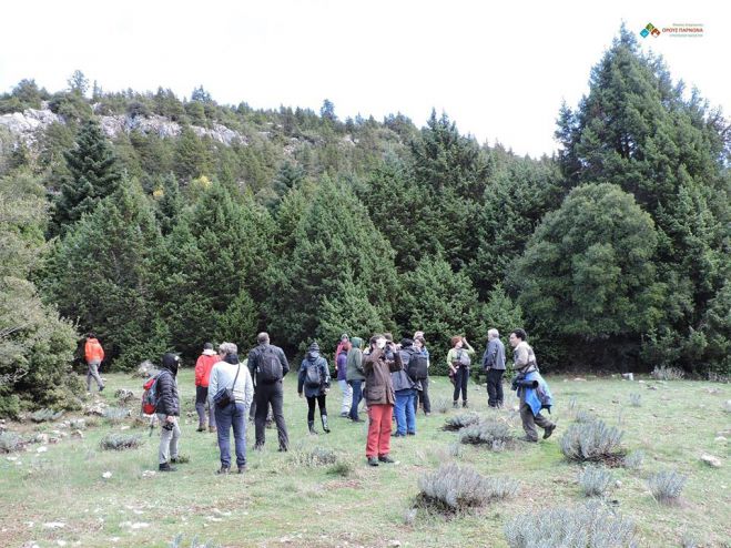 &Eta; &Epsilon;&lambda;&lambda;&eta;&nu;&iota;&kappa;ή &Omicron;&rho;&nu;&iota;&theta;&omicron;&lambda;&omicron;&gamma;&iota;&kappa;ή &Epsilon;&tau;&alpha;&iota;&rho;&epsilon;ί&alpha; &epsilon;&xi;ό&rho;&mu;&eta;&sigma;&epsilon; &sigma;&tau;&omicron;&nu; &Pi;ά&rho;&nu;&omega;&nu;&alpha;! (&epsilon;&iota;&kappa;ό&nu;&epsilon;&sigmaf;)