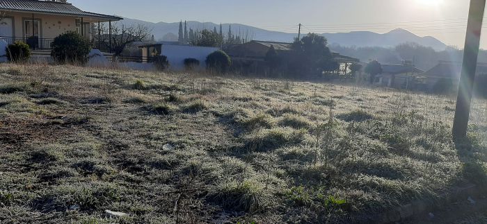 Ο πρωινός πάγος στην Μεγαλόπολη (εικόνες)