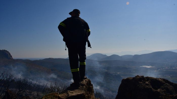 Προσλήψεις υπαλλήλων στα δασαρχεία με νέα κοινωφελή εργασία