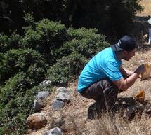 Η χλωρίδα του Πάρνωνα προσελκύει επιστήμονες από όλο τον κόσμο!