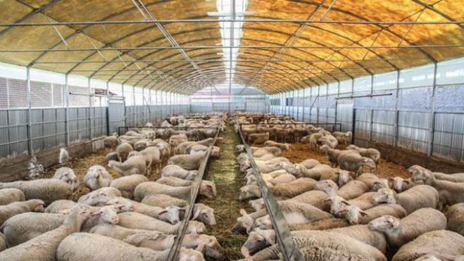 &Alpha;&delta;&epsilon;&iota;&omicron;&delta;ό&tau;&eta;&sigma;&eta; &tau;&omega;&nu; &sigma;&tau;&alpha;&upsilon;&lambda;&iota;&kappa;ώ&nu; &epsilon;&gamma;&kappa;&alpha;&tau;&alpha;&sigma;&tau;ά&sigma;&epsilon;&omega;&nu; | &Pi;&omicron;&lambda;&lambda;&omicron;ί &kappa;&tau;&eta;&nu;&omicron;&tau;&rho;ό&phi;&omicron;&iota; &kappa;&iota;&nu;&delta;&upsilon;&nu;&epsilon;ύ&omicron;&upsilon;&nu; &mu;&epsilon; &alpha;&nu;&alpha;&gamma;&kappa;&alpha;&sigma;&tau;&iota;&kappa;ή &delta;&iota;&alpha;&kappa;&omicron;&pi;ή &tau;&eta;&sigmaf; &delta;&rho;&alpha;&sigma;&tau;&eta;&rho;&iota;ό&tau;&eta;&tau;ά&sigmaf; &tau;&omicron;&upsilon;&sigmaf;