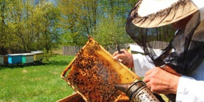 Άμεσα μέτρα προστασίας και στήριξης των αγροτών, κτηνοτρόφων και μελισσοκόμων ζητά ο Οδυσσέας