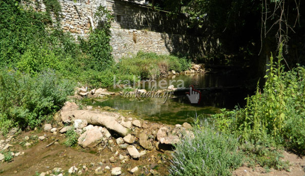 Ο παραπόταμος του Λάδωνα στην Κοντοβάζαινα με τα κρύα νερά και τα ψηλά πλατάνια (εικόνες – βίντεο)