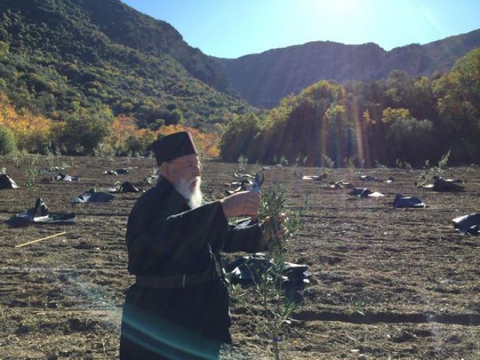 800 &delta;έ&nu;&delta;&rho;&alpha; &epsilon;&lambda;&iota;ά&sigmaf; &phi;&upsilon;&tau;&epsilon;ύ&tau;&eta;&kappa;&alpha;&nu; &sigma;&tau;&eta;&nu; &Kappa;&upsilon;&nu;&omicron;&upsilon;&rho;ί&alpha; - &Mu;&pi;&rho;&omicron;&sigma;&tau;ά&rho;&eta;&sigmaf; &omicron; &Mu;&eta;&tau;&rho;&omicron;&pi;&omicron;&lambda;ί&tau;&eta;&sigmaf; &Alpha;&lambda;έ&xi;&alpha;&nu;&delta;&rho;&omicron;&sigmaf;! (&epsilon;&iota;&kappa;ό&nu;&epsilon;&sigmaf;)
