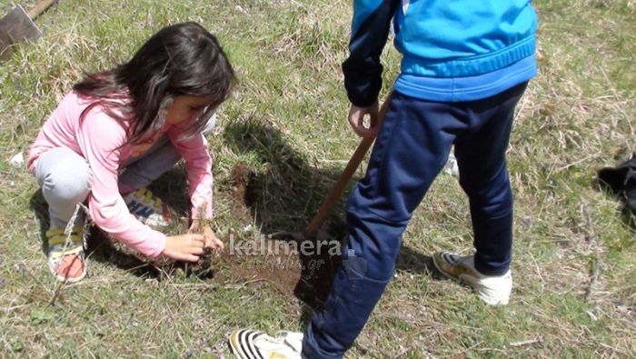Παράλιο Άστρος: Μαθητές προχωρούν σε δενδροφύτευση στον χώρο των Κατασκηνώσεων!