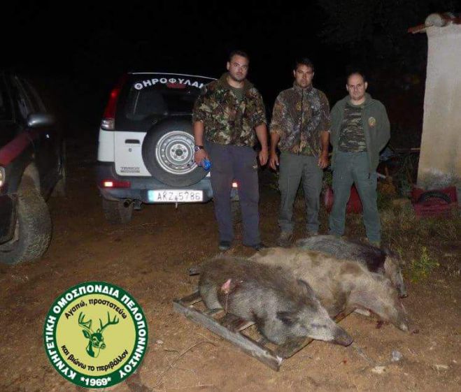 Παράνομο κυνήγι - Νέο κρούσμα στη γειτονική Λακωνία