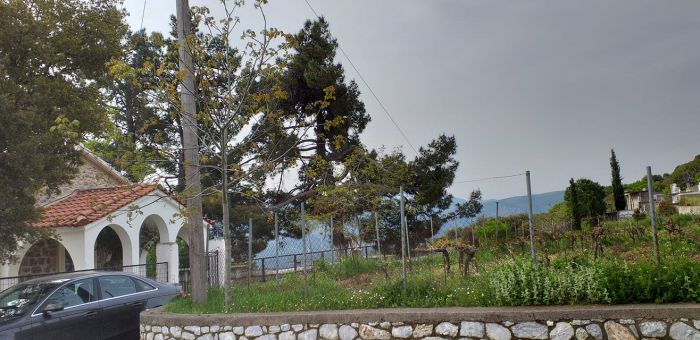 Κυνουρία | Διαμαρτυρία για την "απαράδεκτη κατάσταση του χωματόδρομου που οδηγεί από τον Άγιο Γεώργιο στην Βάθηα"