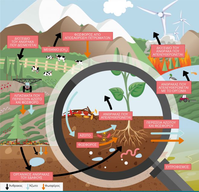 &Tau;&iota; &epsilon;ί&nu;&alpha;&iota; &eta; &epsilon;&rho;&eta;&mu;&omicron;&pi;&omicron;ί&eta;&sigma;&eta;;