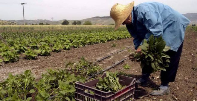 &Tau;&iota; &alpha;&lambda;&lambda;ά&zeta;&epsilon;&iota; &sigma;&tau;&eta; &phi;&omicron;&rho;&omicron;&lambda;&omicron;&gamma;ί&alpha; &tau;&omega;&nu; &alpha;&gamma;&rho;&omicron;&tau;ώ&nu;