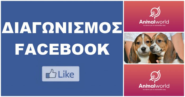 "Κέρδισε" τροφή σκύλου για 2 μήνες! Εσύ έκανες like;!