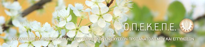 &Epsilon;&xi;&iota;&sigma;&omega;&tau;&iota;&kappa;ή &alpha;&pi;&omicron;&zeta;&eta;&mu;ί&omega;&sigma;&eta; 2017 | &Alpha;&nu;&alpha;&kappa;&omicron;&iota;&nu;ώ&theta;&eta;&kappa;&alpha;&nu; &omicron;&iota; &delta;&iota;&kappa;&alpha;&iota;&omicron;ύ&chi;&omicron;&iota; &ndash; &Alpha;&rho;&chi;ί&zeta;&omicron;&upsilon;&nu; &omicron;&iota; &epsilon;&nu;&sigma;&tau;ά&sigma;&epsilon;&iota;&sigmaf;