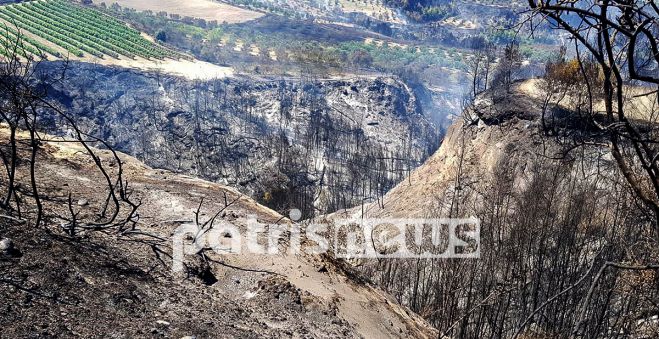Ηλεία: Στάχτη και καμμένη γη άφησε πίσω της η πυρκαγιά στα χωριά της Ολυμπίας – Θλιβερές εικόνες
